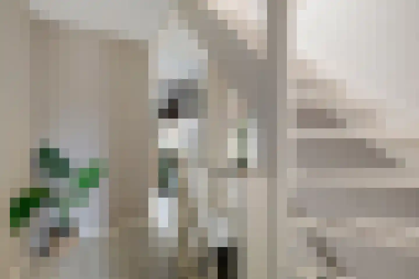 Tjaardastate 1 Leeuwarden thumbnail 27
