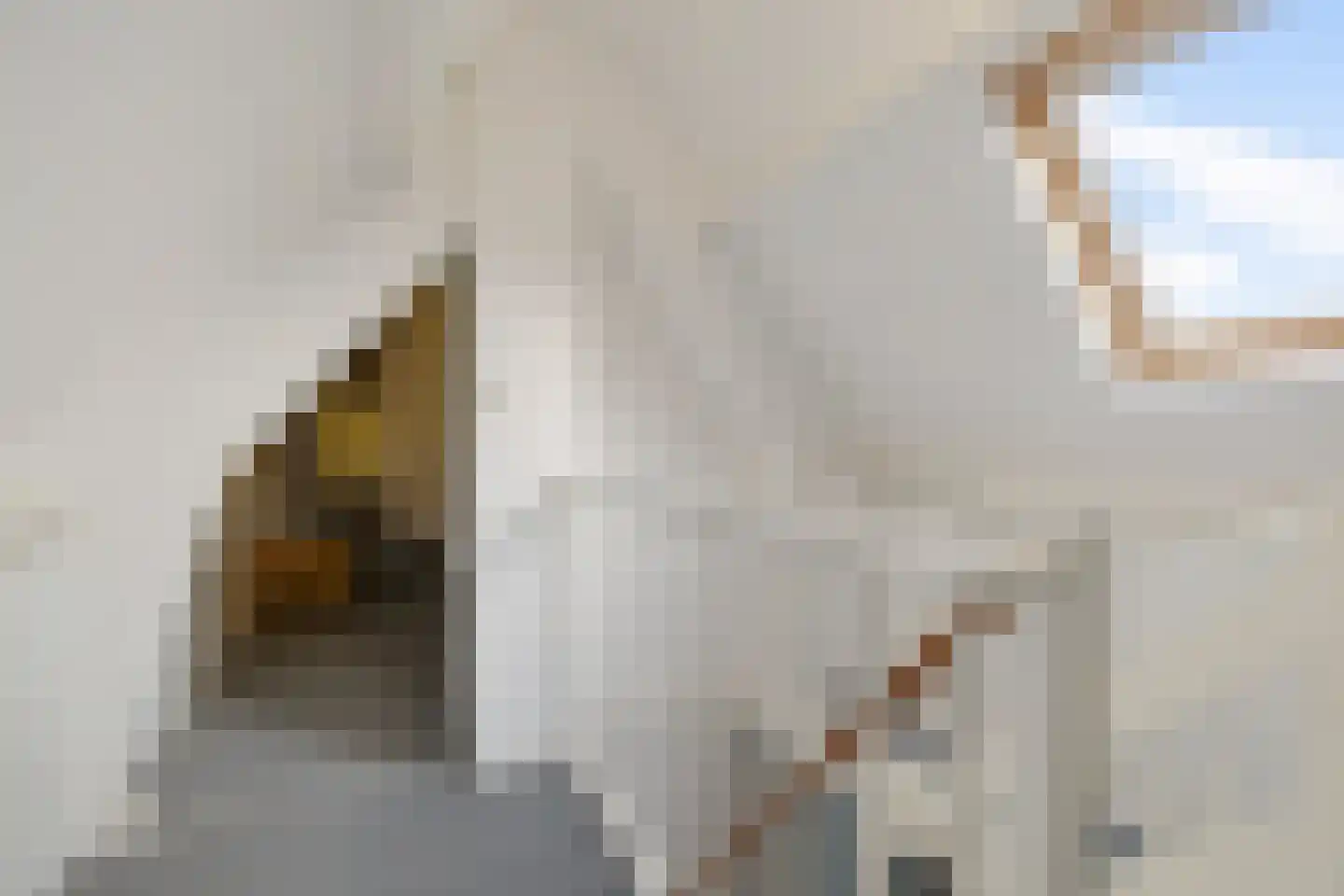 Tjaardastate 1 Leeuwarden thumbnail 28