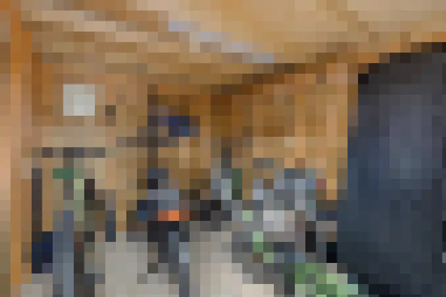 Tjaardastate 1 Leeuwarden thumbnail 33