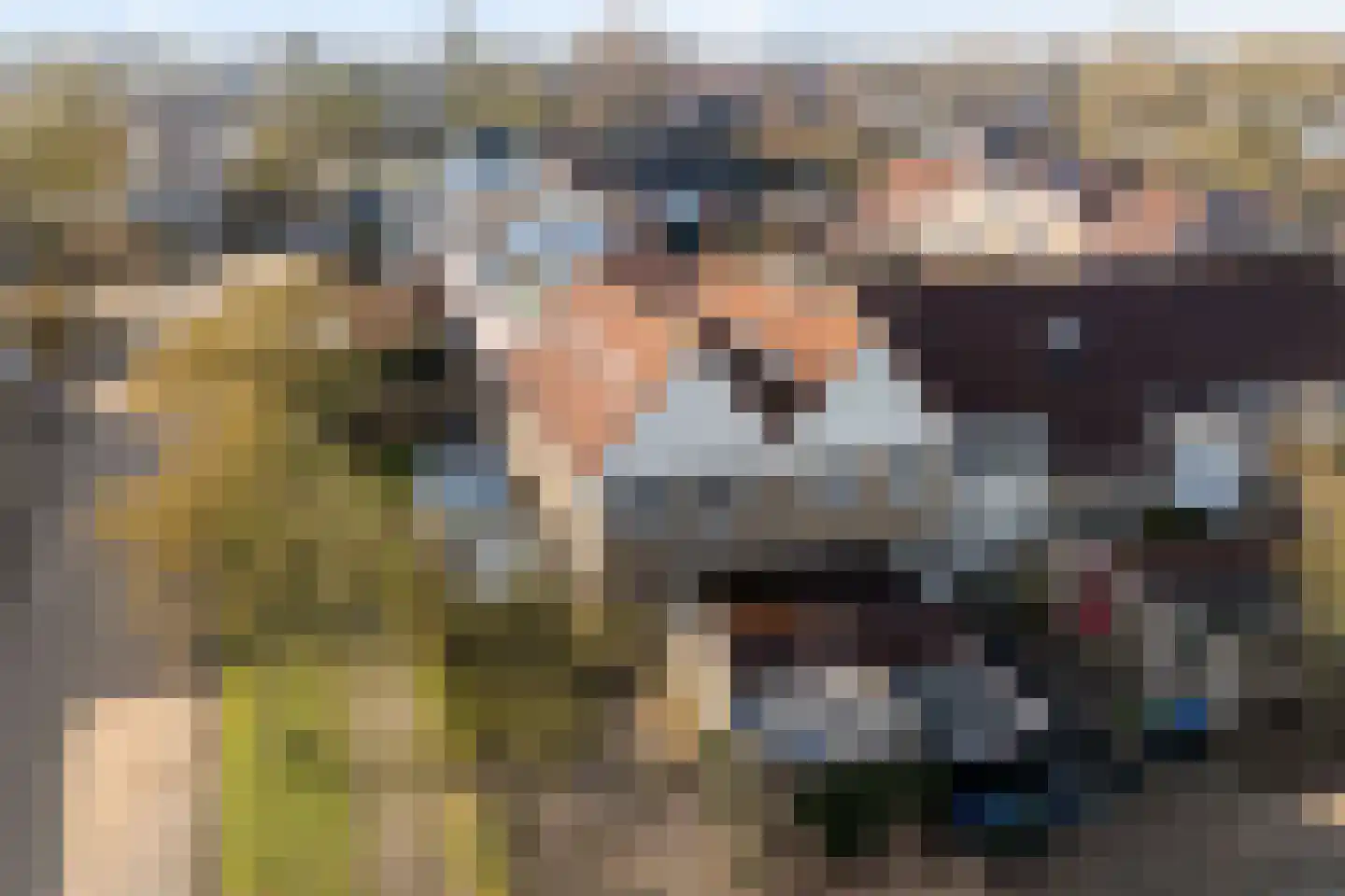 Tjaardastate 1 Leeuwarden thumbnail 48