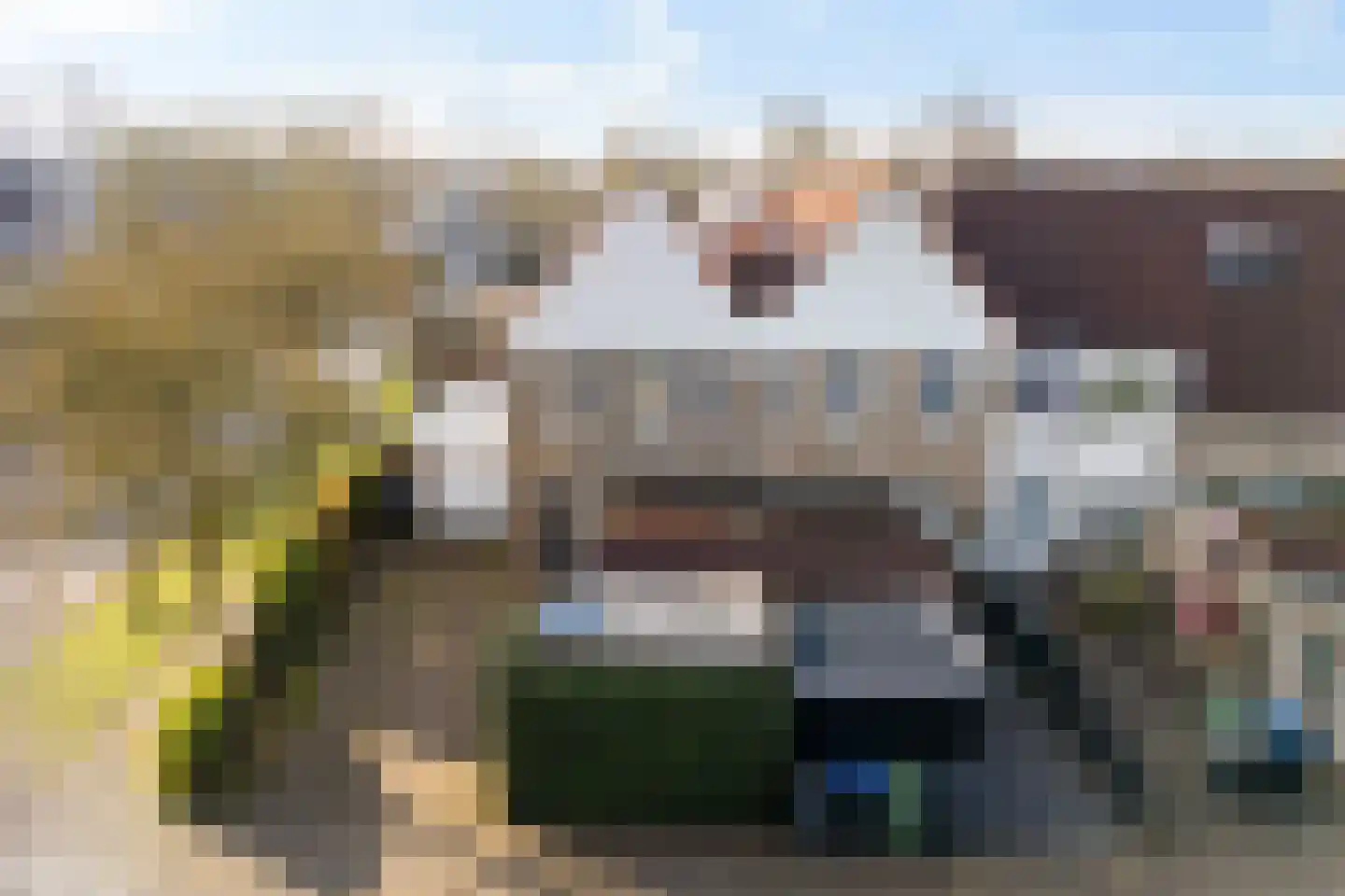 Tjaardastate 1 Leeuwarden thumbnail 49