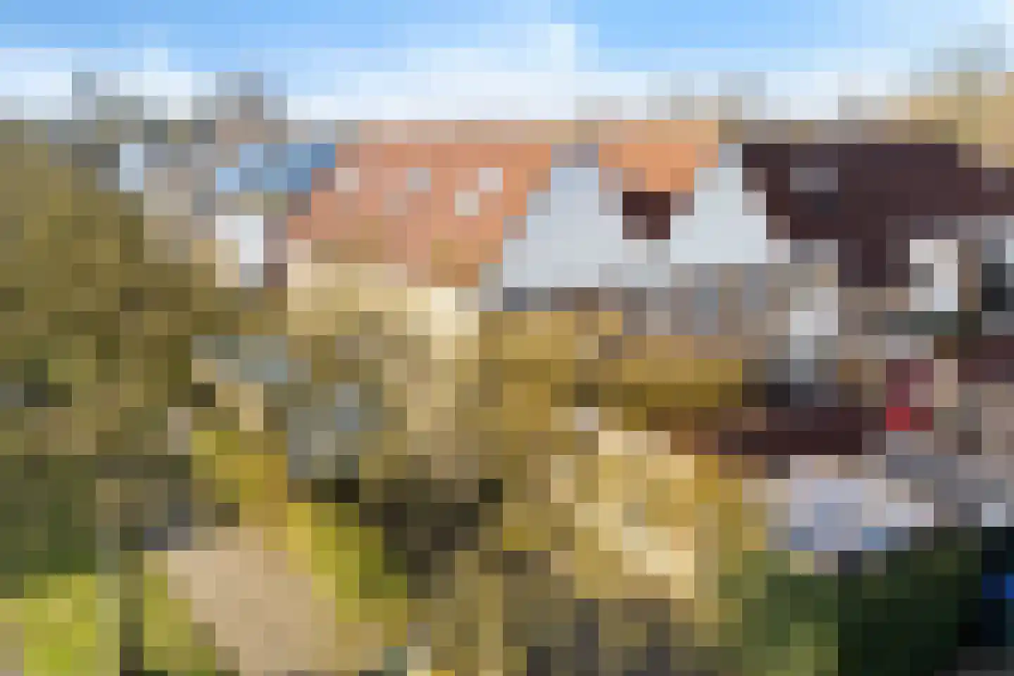 Tjaardastate 1 Leeuwarden thumbnail 50