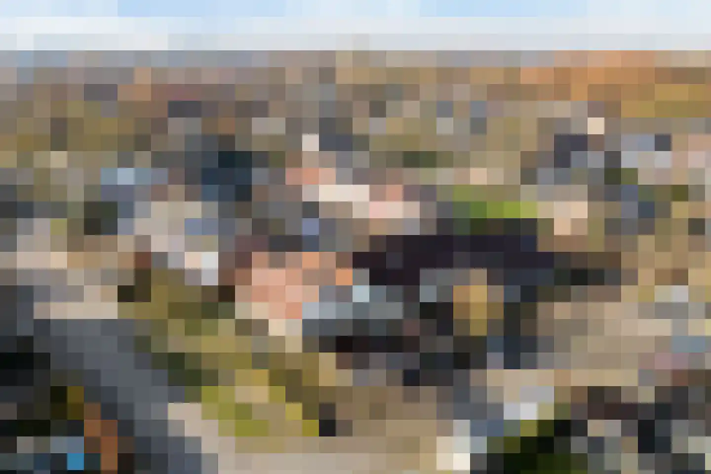 Tjaardastate 1 Leeuwarden thumbnail 53