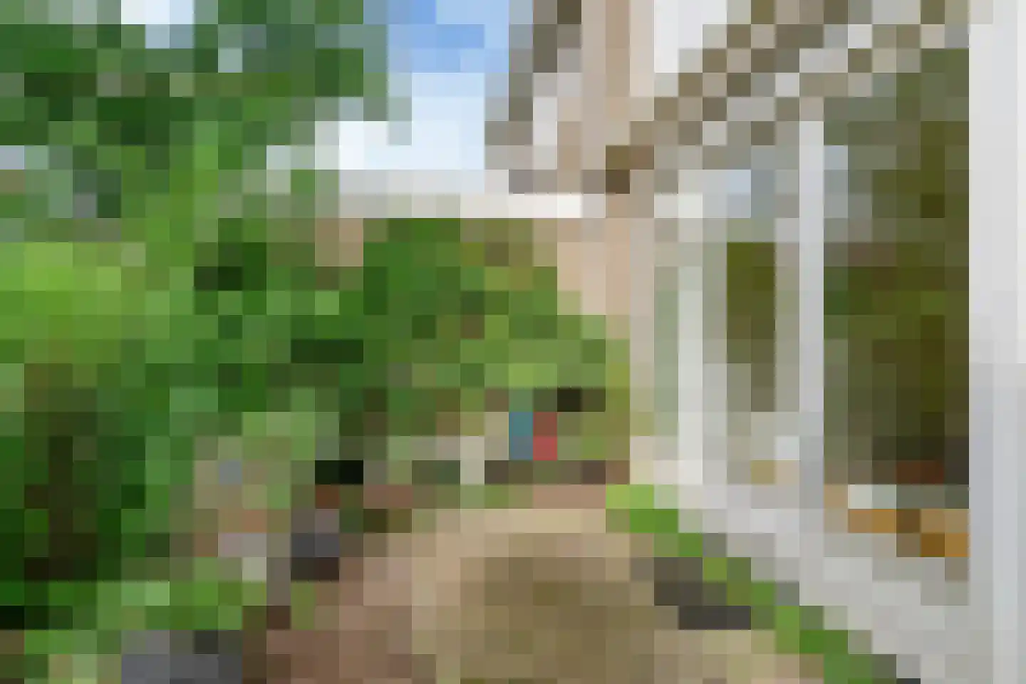 Tjaardastate 7 Leeuwarden thumbnail 20