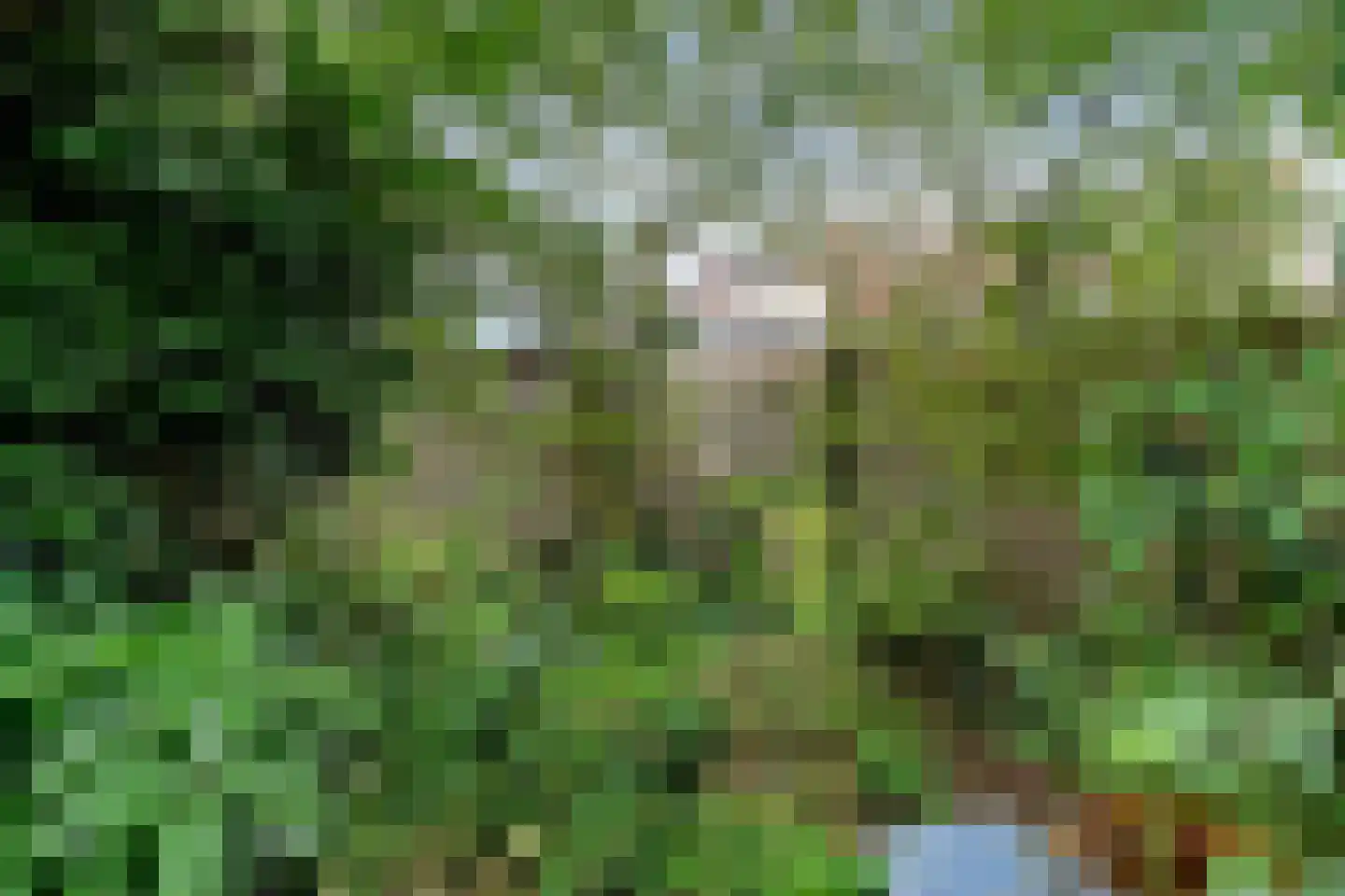 Tjaardastate 7 Leeuwarden thumbnail 22