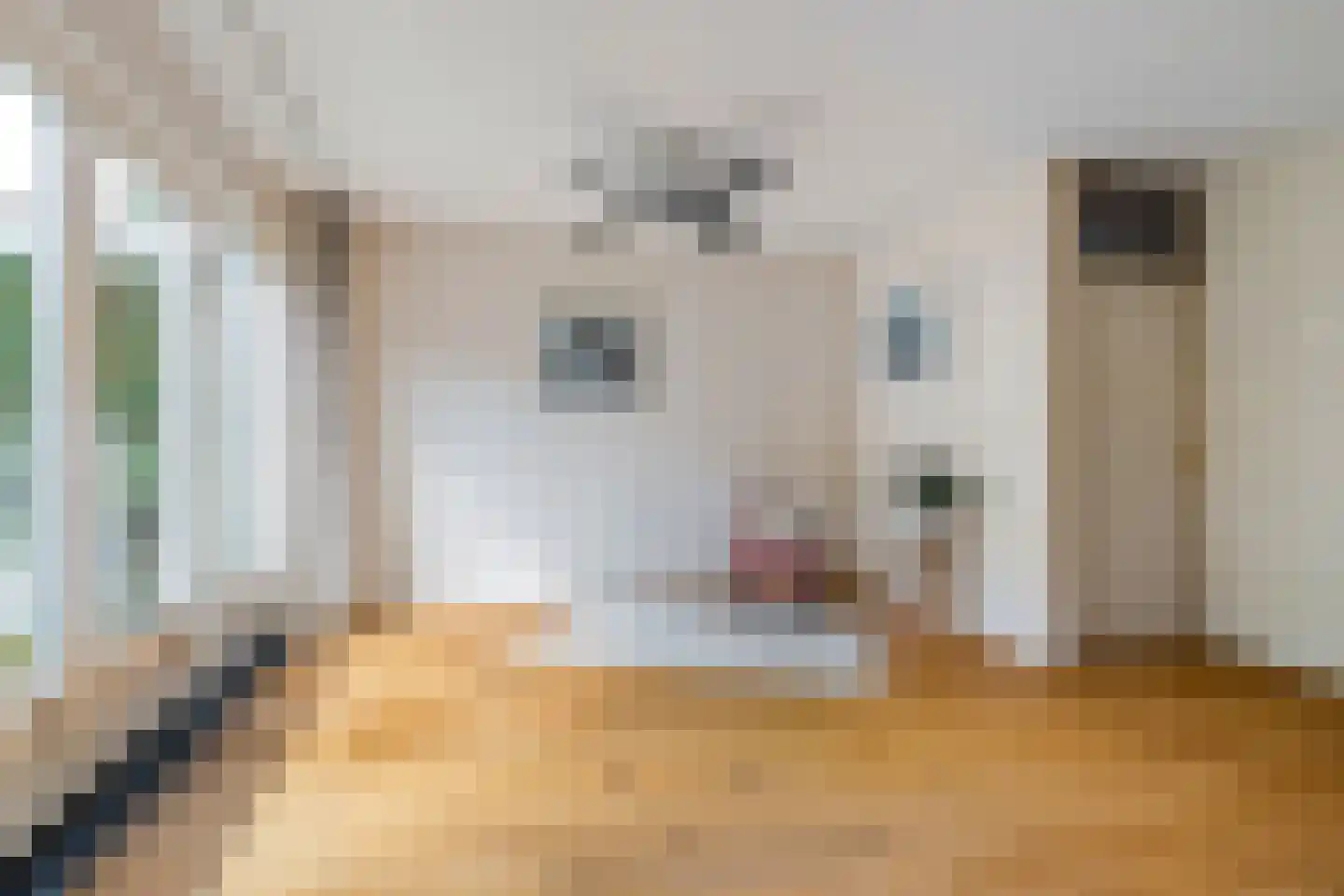 Tjaardastate 7 Leeuwarden thumbnail 9