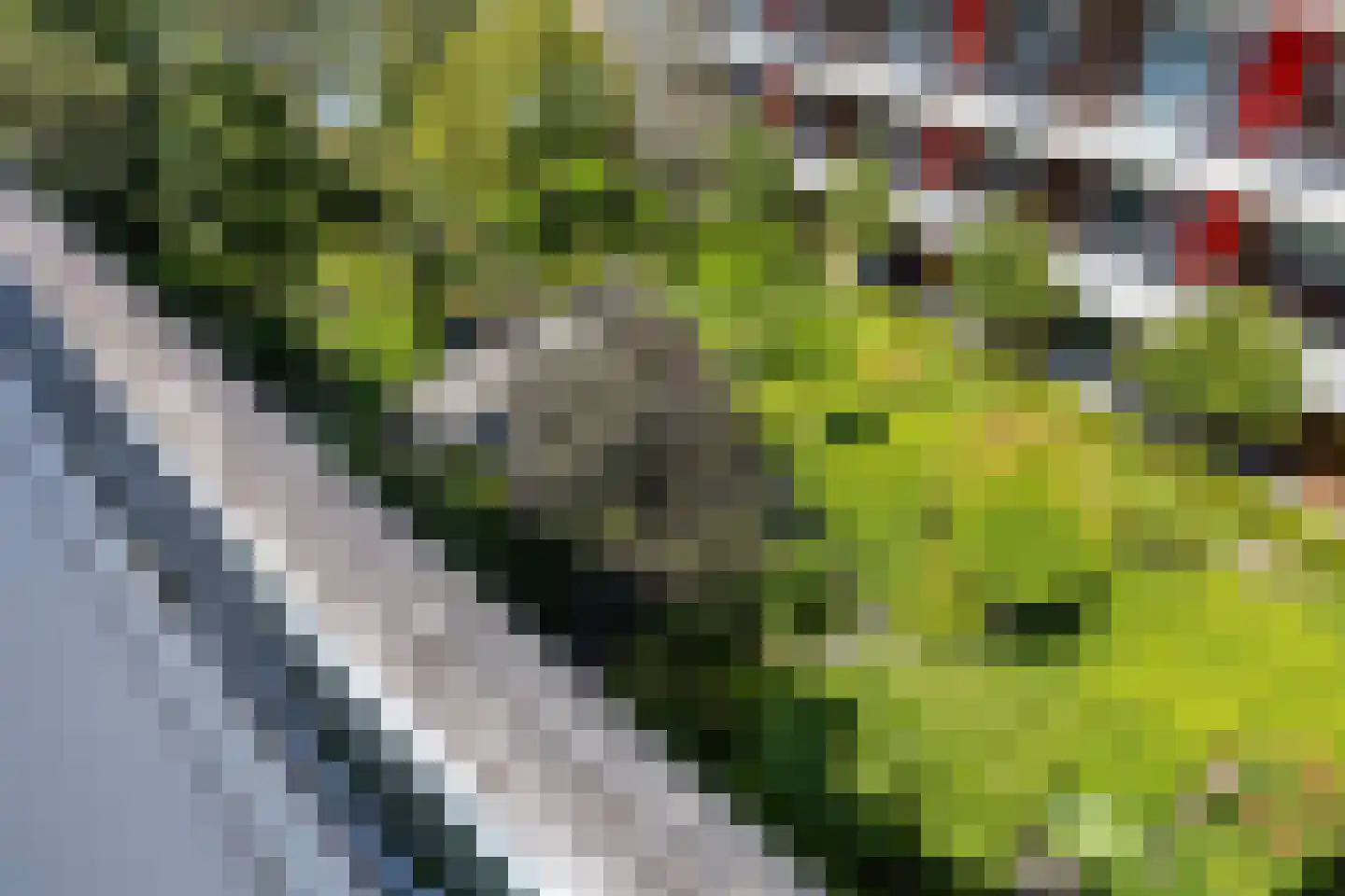 Tjaarlingermeer 102 Heerhugowaard thumbnail 32