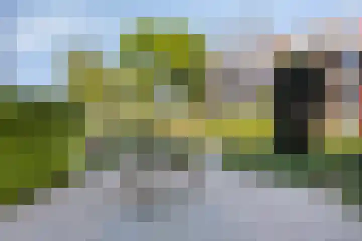 Tjaarlingermeer 118 Heerhugowaard thumbnail 23