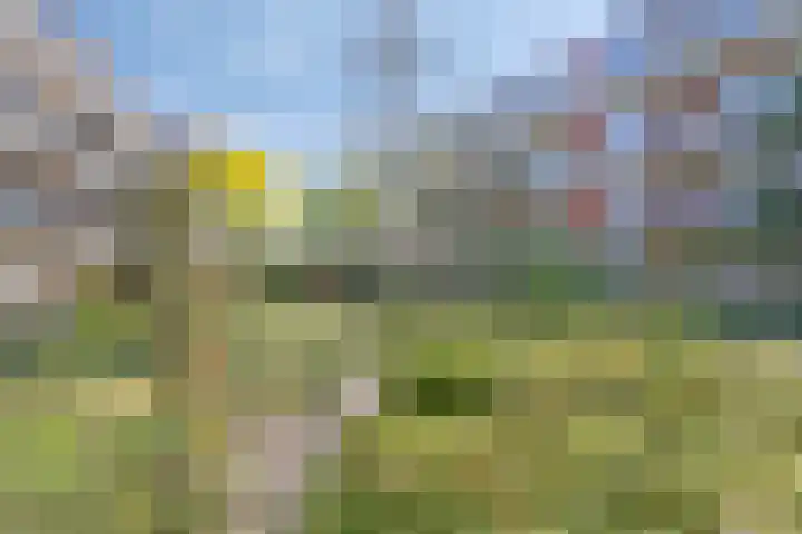 Tjaarlingermeer 118 Heerhugowaard thumbnail 24