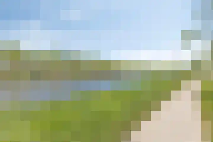 Tjaarlingermeer 118 Heerhugowaard thumbnail 26