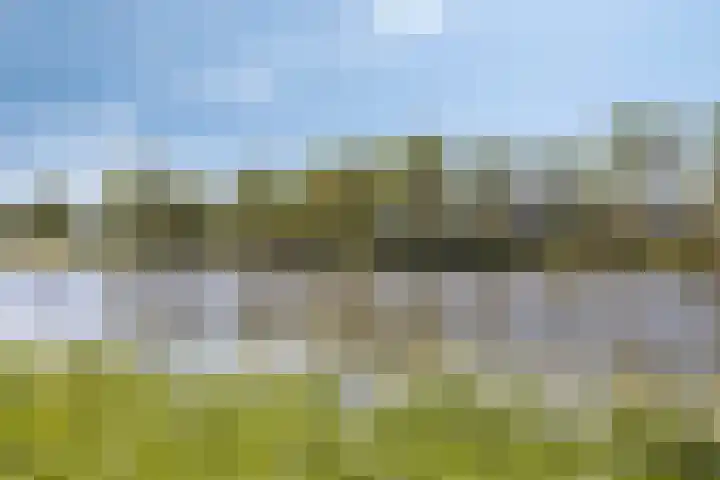 Tjaarlingermeer 118 Heerhugowaard thumbnail 27