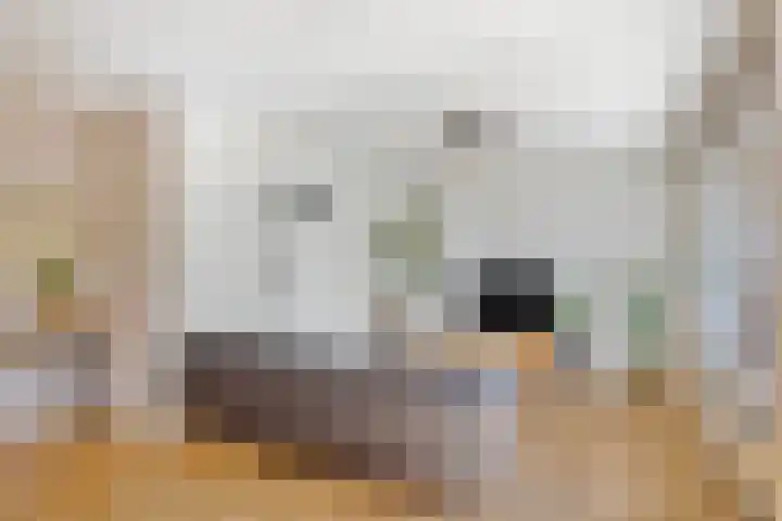 Tjaarlingermeer 118 Heerhugowaard thumbnail 8