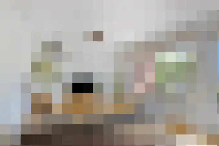 Tjaarlingermeer 118 Heerhugowaard thumbnail 9