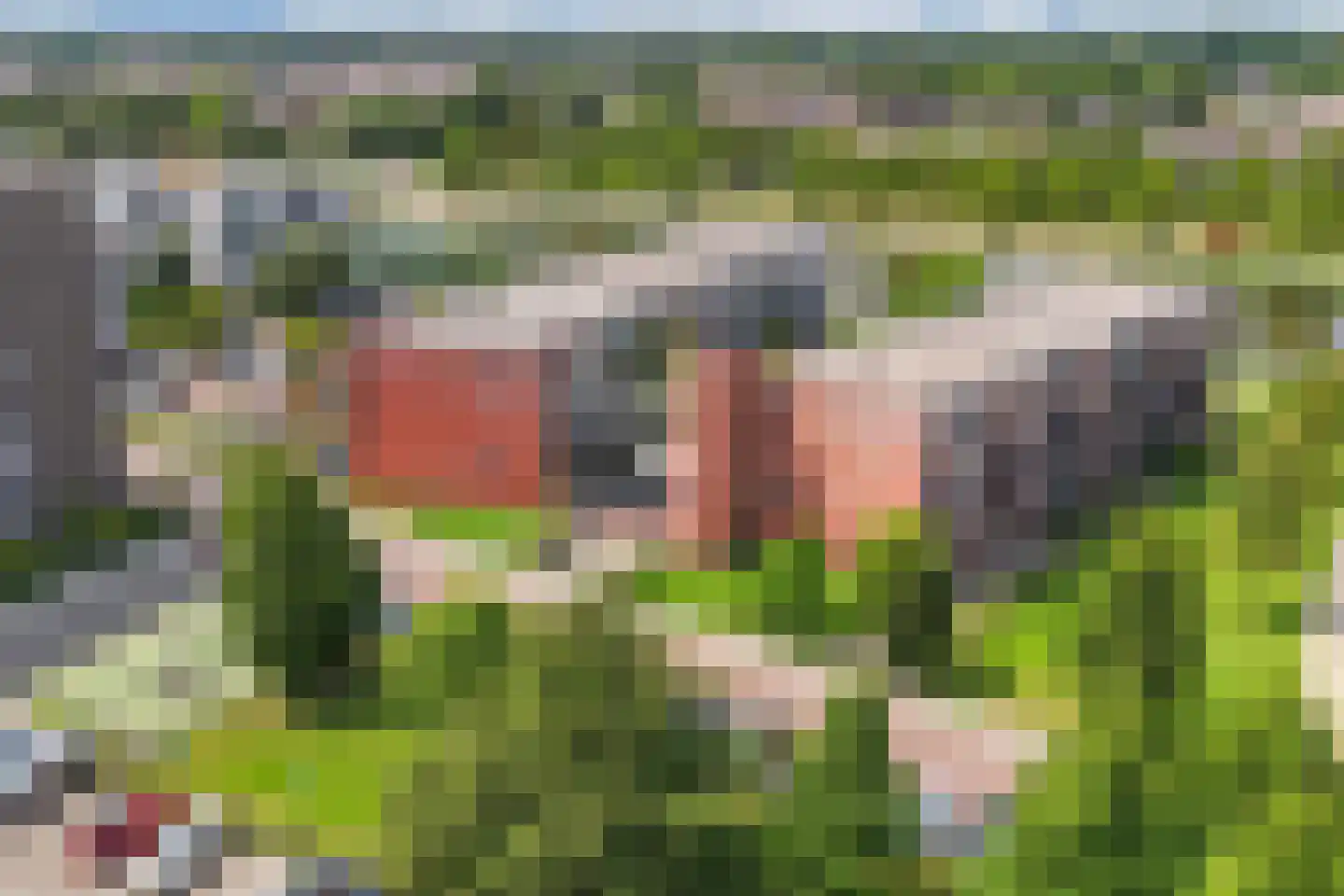 Tjaarlingermeer 138 Heerhugowaard thumbnail 28