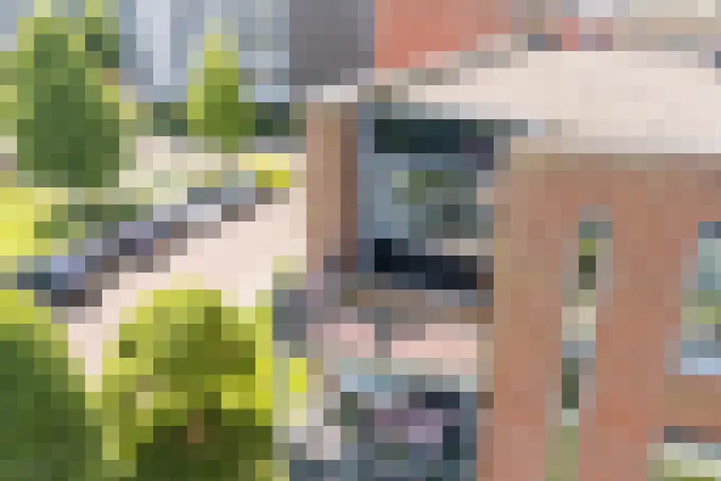 Tjaarlingermeer 178 Heerhugowaard thumbnail 17
