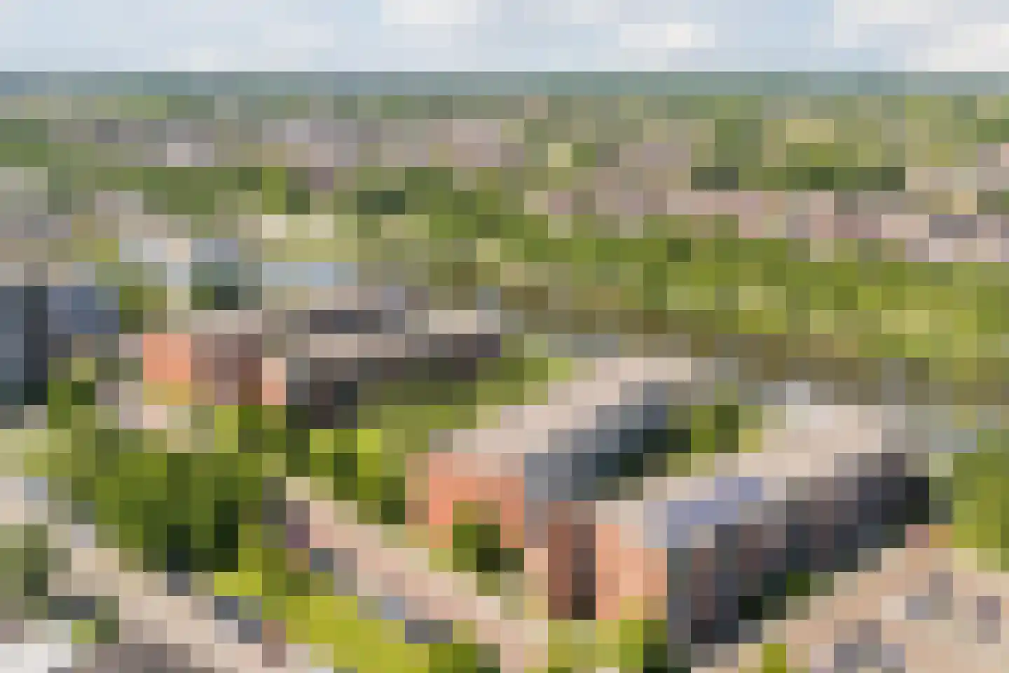 Tjaarlingermeer 178 Heerhugowaard thumbnail 38