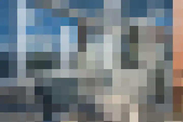 Tjaarlingermeer 182 Heerhugowaard thumbnail 20