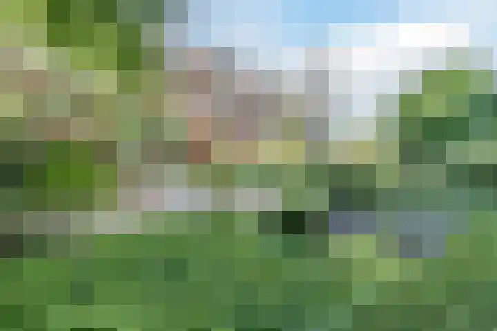 Tjaarlingermeer 182 Heerhugowaard thumbnail 24