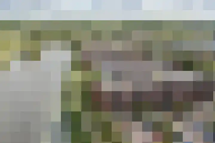 Tjaarlingermeer 182 Heerhugowaard thumbnail 26