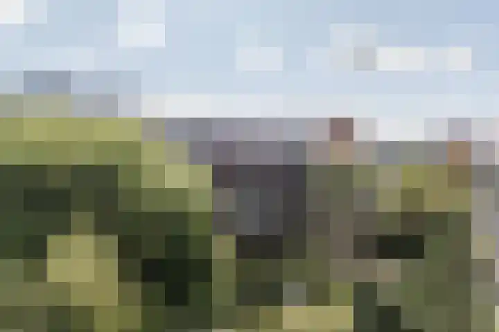 Tjaarlingermeer 182 Heerhugowaard thumbnail 27