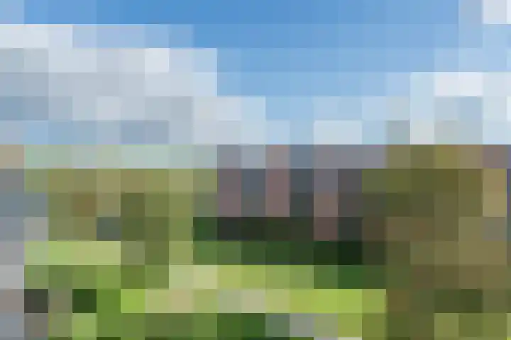 Tjaarlingermeer 182 Heerhugowaard thumbnail 31