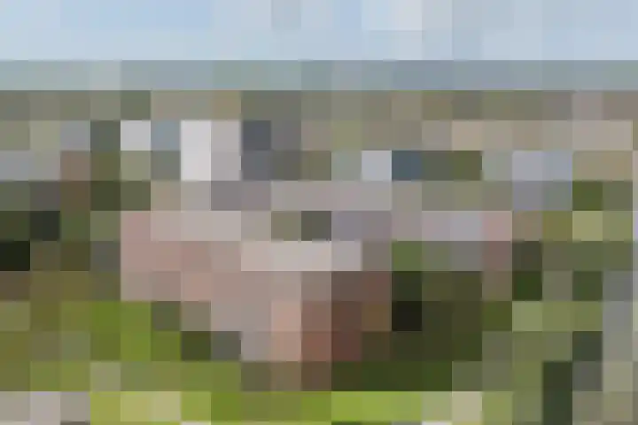 Tjaarlingermeer 182 Heerhugowaard thumbnail 35