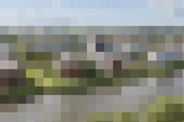 Tjaarlingermeer 182 Heerhugowaard thumbnail 37