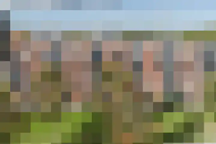Tjaarlingermeer 182 Heerhugowaard thumbnail 41