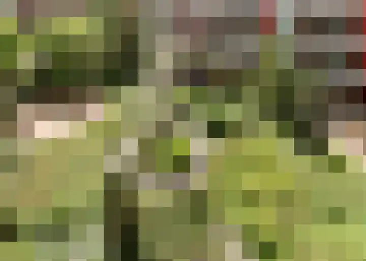 Tjaarlingermeer 188 Heerhugowaard thumbnail 31