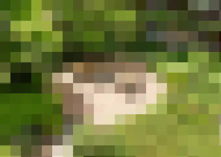 Tjaarlingermeer 188 Heerhugowaard thumbnail 32