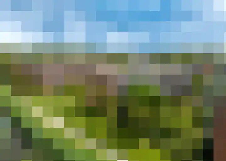 Tjaarlingermeer 188 Heerhugowaard thumbnail 40