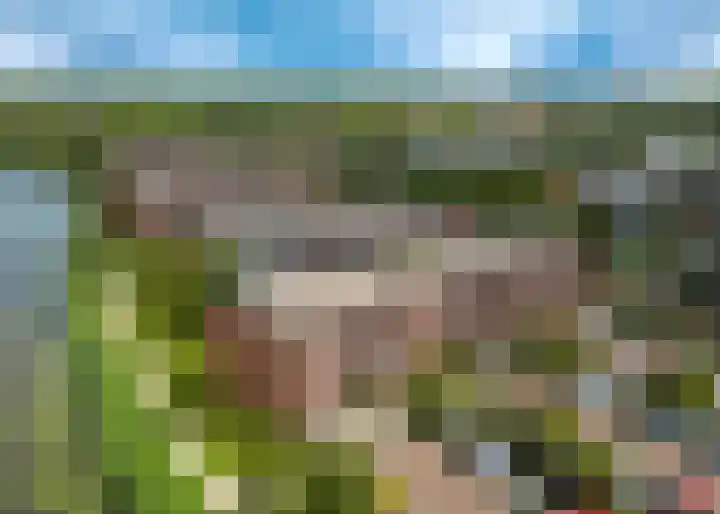 Tjaarlingermeer 188 Heerhugowaard thumbnail 41