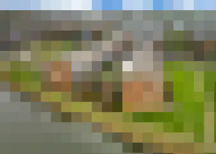Tjaarlingermeer 66 Heerhugowaard thumbnail 26