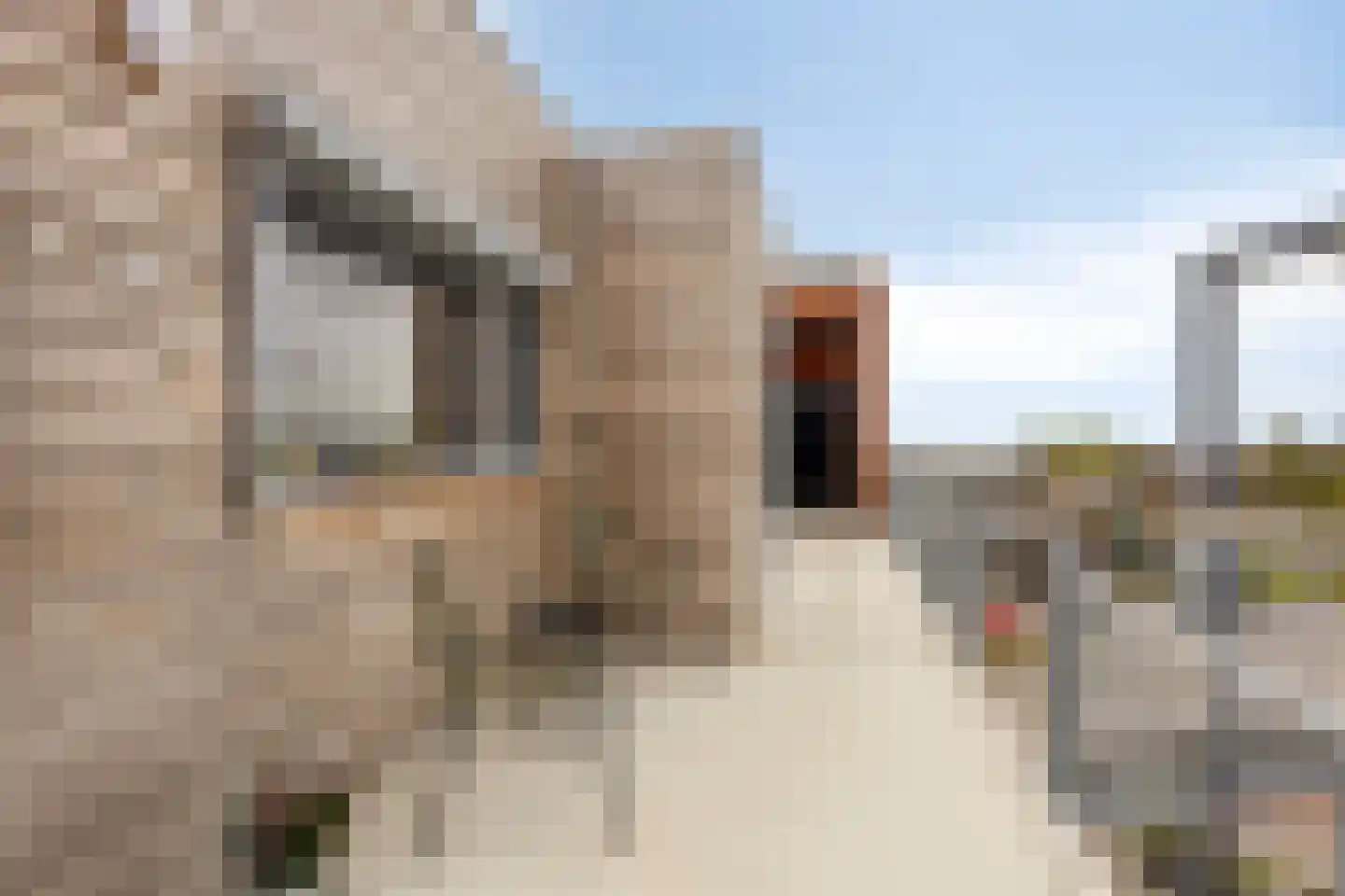 Tjaarlingermeer 82 Heerhugowaard thumbnail 35