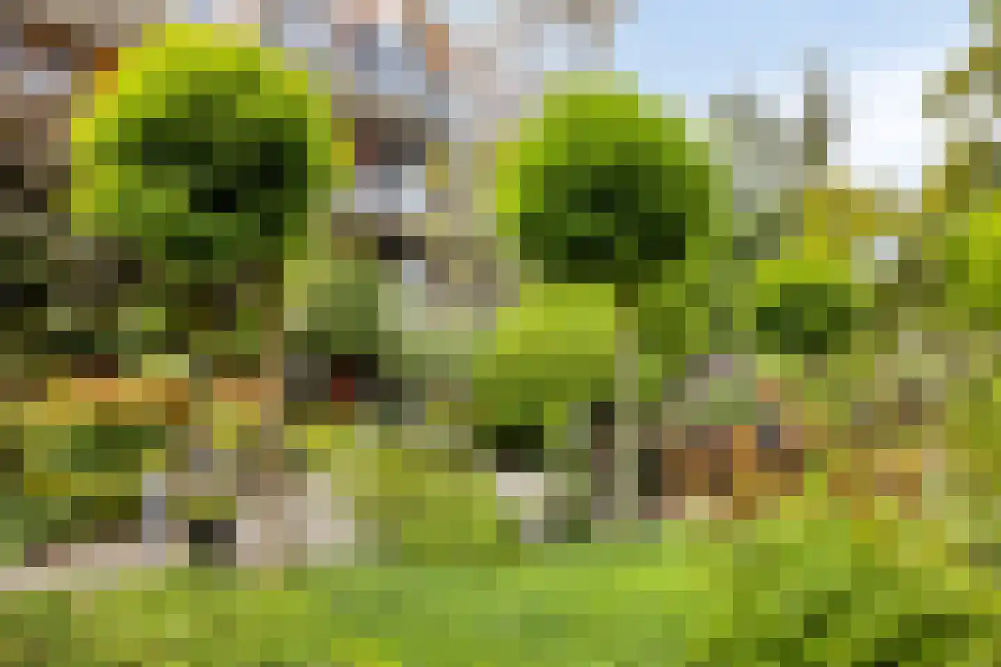 Tjaarlingermeer 82 Heerhugowaard thumbnail 37