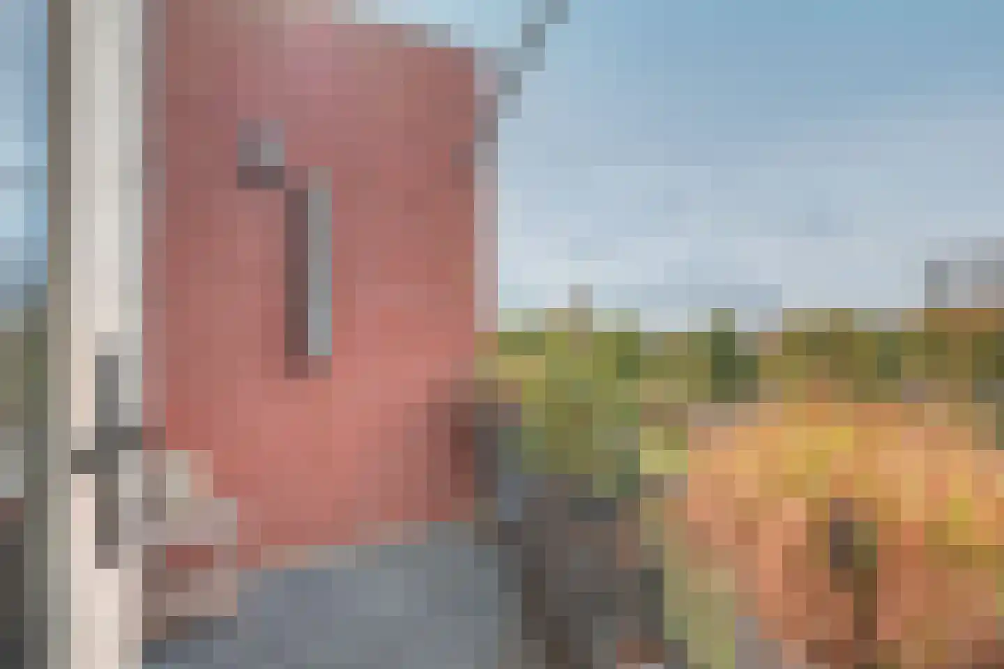 Tjaarlingermeer 96 Heerhugowaard thumbnail 22