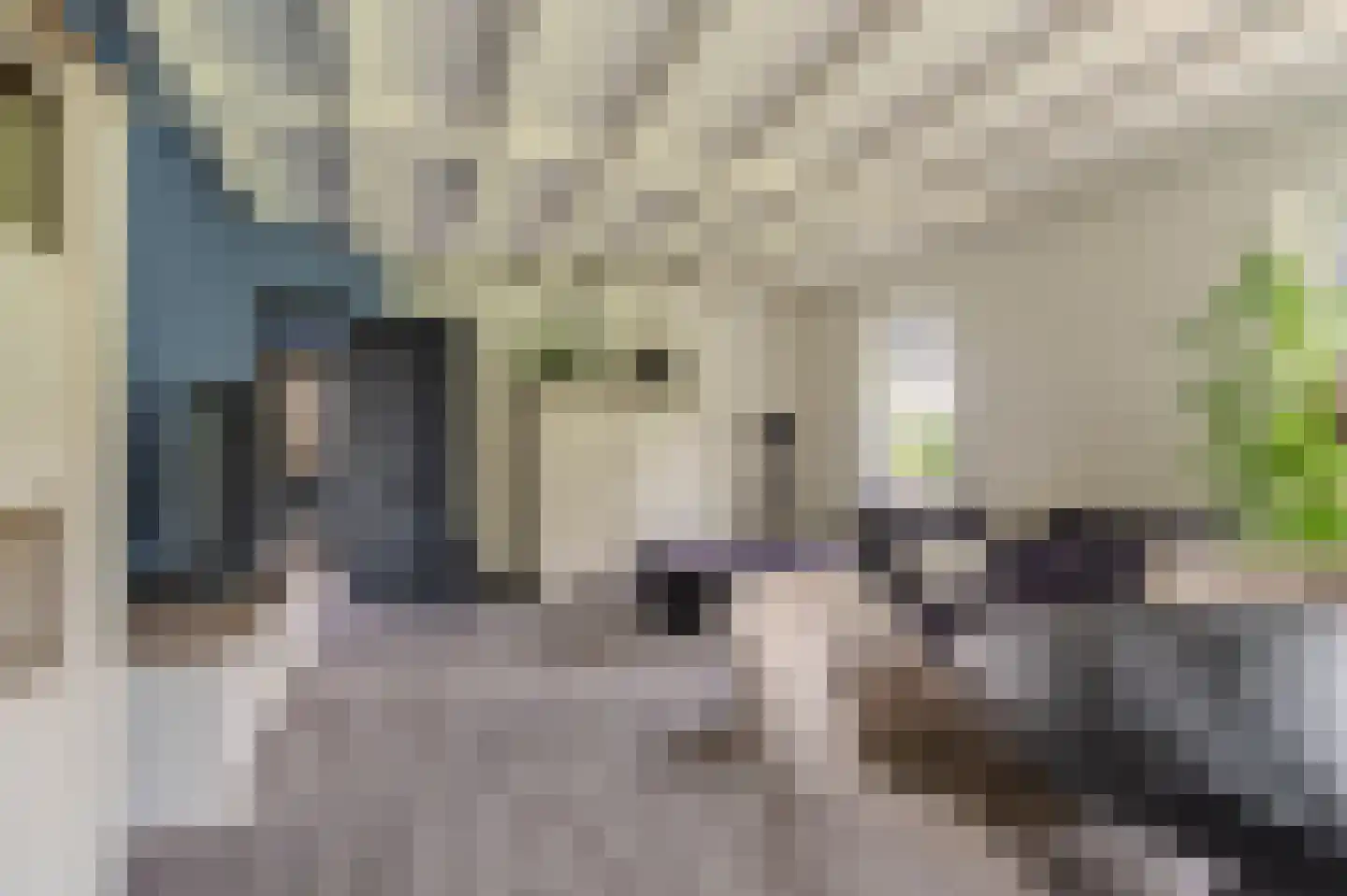 Tjabbesstreek 41 Blijham thumbnail 15