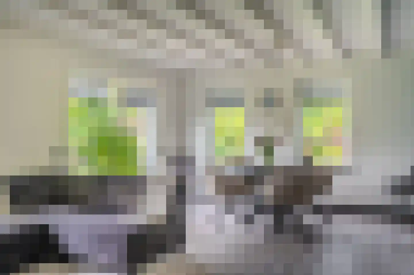 Tjabbesstreek 41 Blijham thumbnail 16