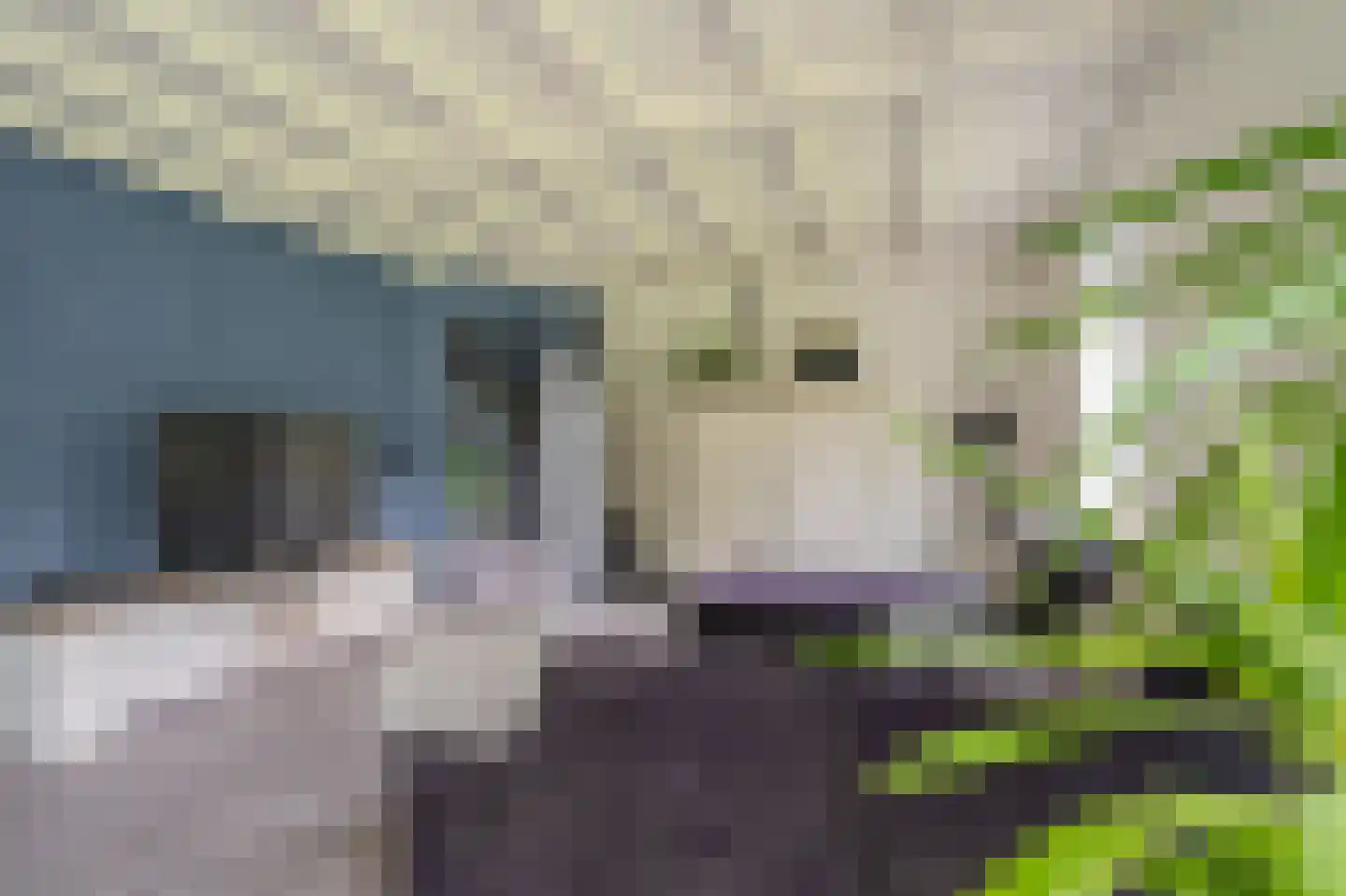 Tjabbesstreek 41 Blijham thumbnail 18
