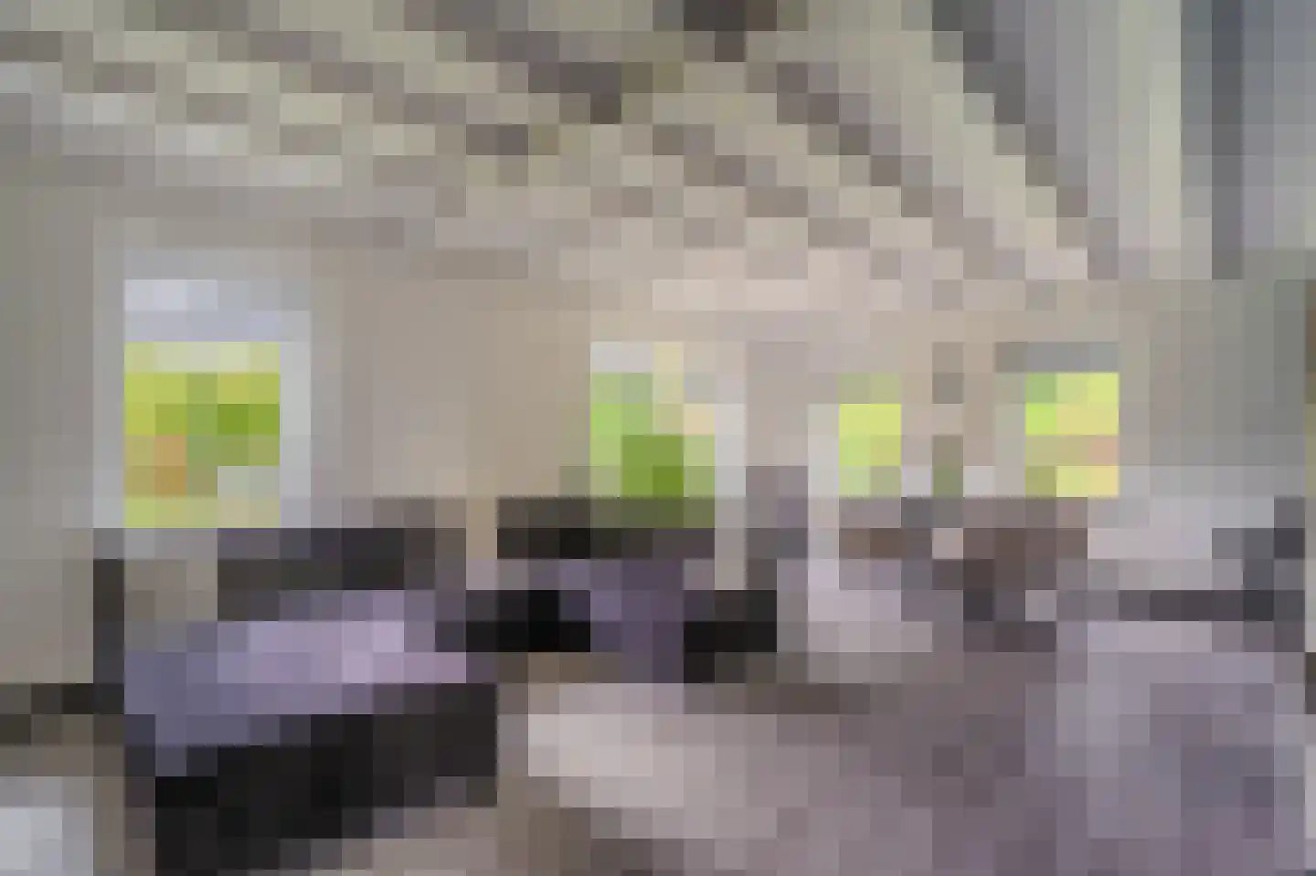 Tjabbesstreek 41 Blijham thumbnail 19
