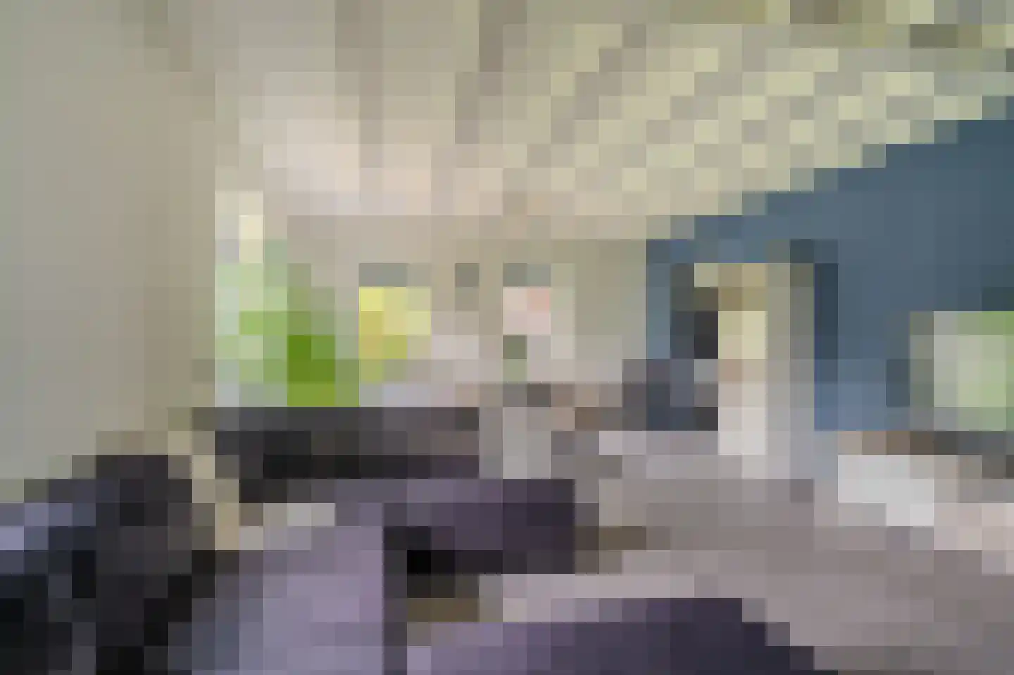 Tjabbesstreek 41 Blijham thumbnail 20