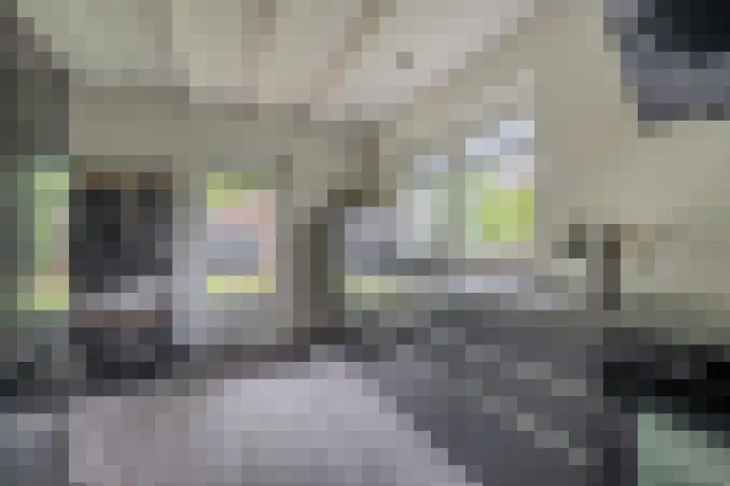 Tjabbesstreek 41 Blijham thumbnail 24