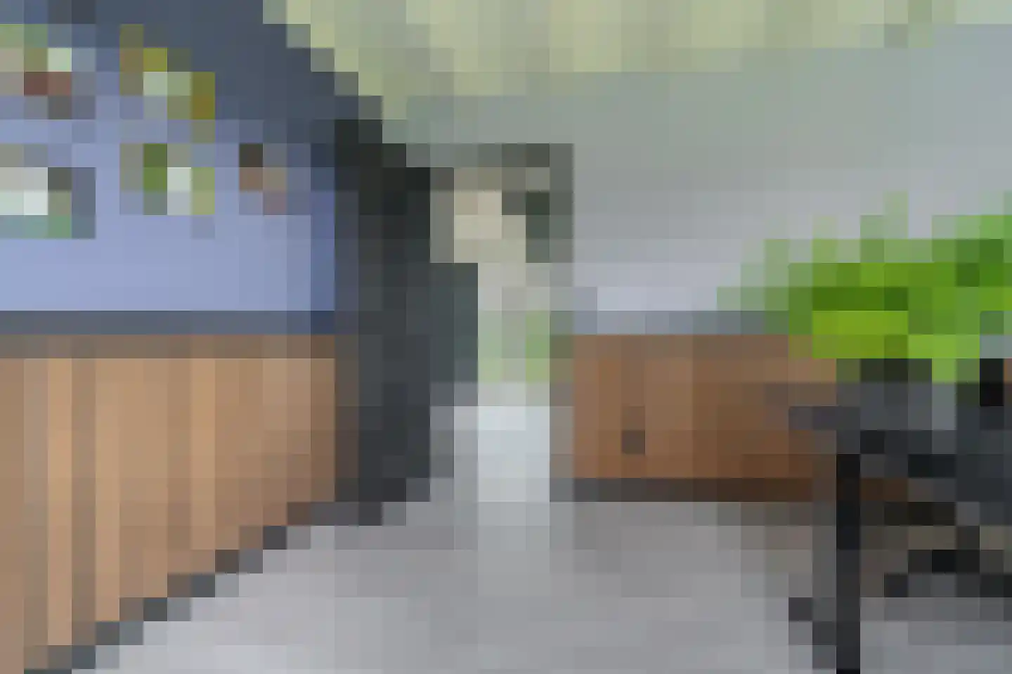 Tjabbesstreek 41 Blijham thumbnail 25