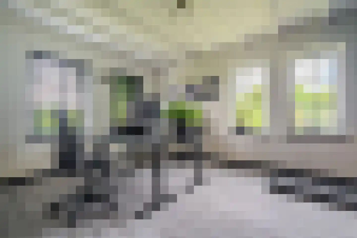 Tjabbesstreek 41 Blijham thumbnail 26