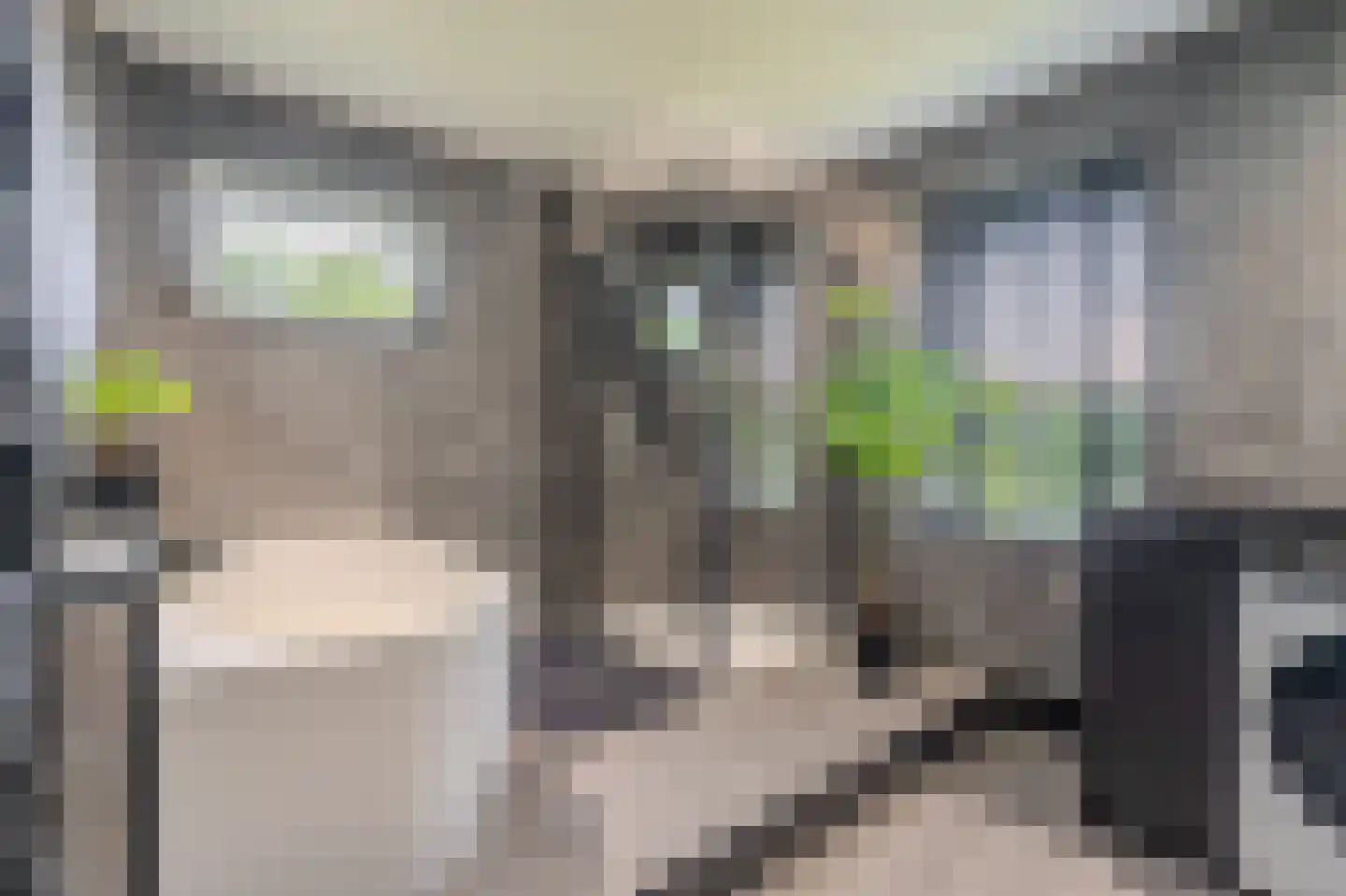 Tjabbesstreek 41 Blijham thumbnail 30