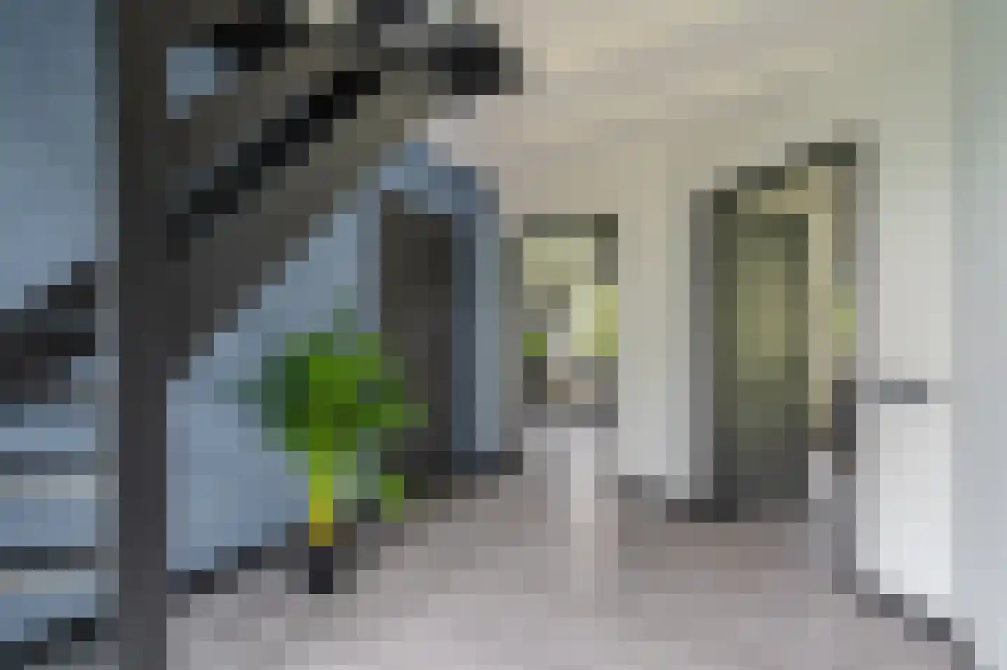 Tjabbesstreek 41 Blijham thumbnail 32