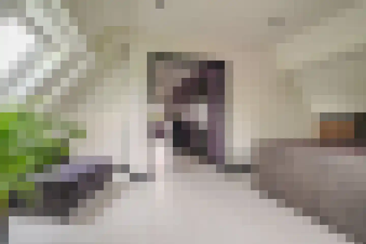 Tjabbesstreek 41 Blijham thumbnail 39