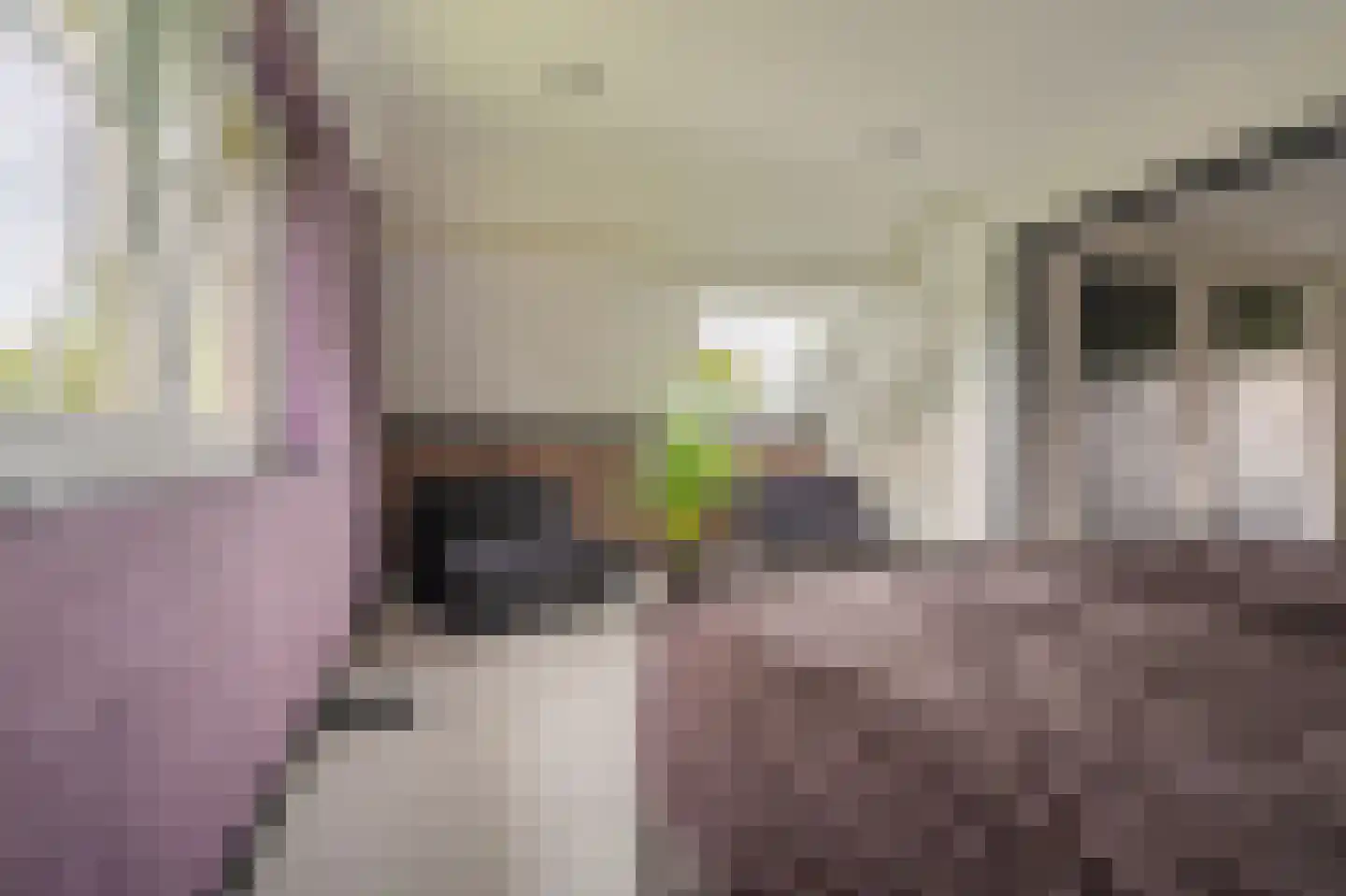 Tjabbesstreek 41 Blijham thumbnail 40