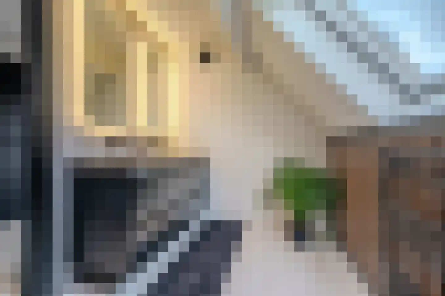 Tjabbesstreek 41 Blijham thumbnail 43