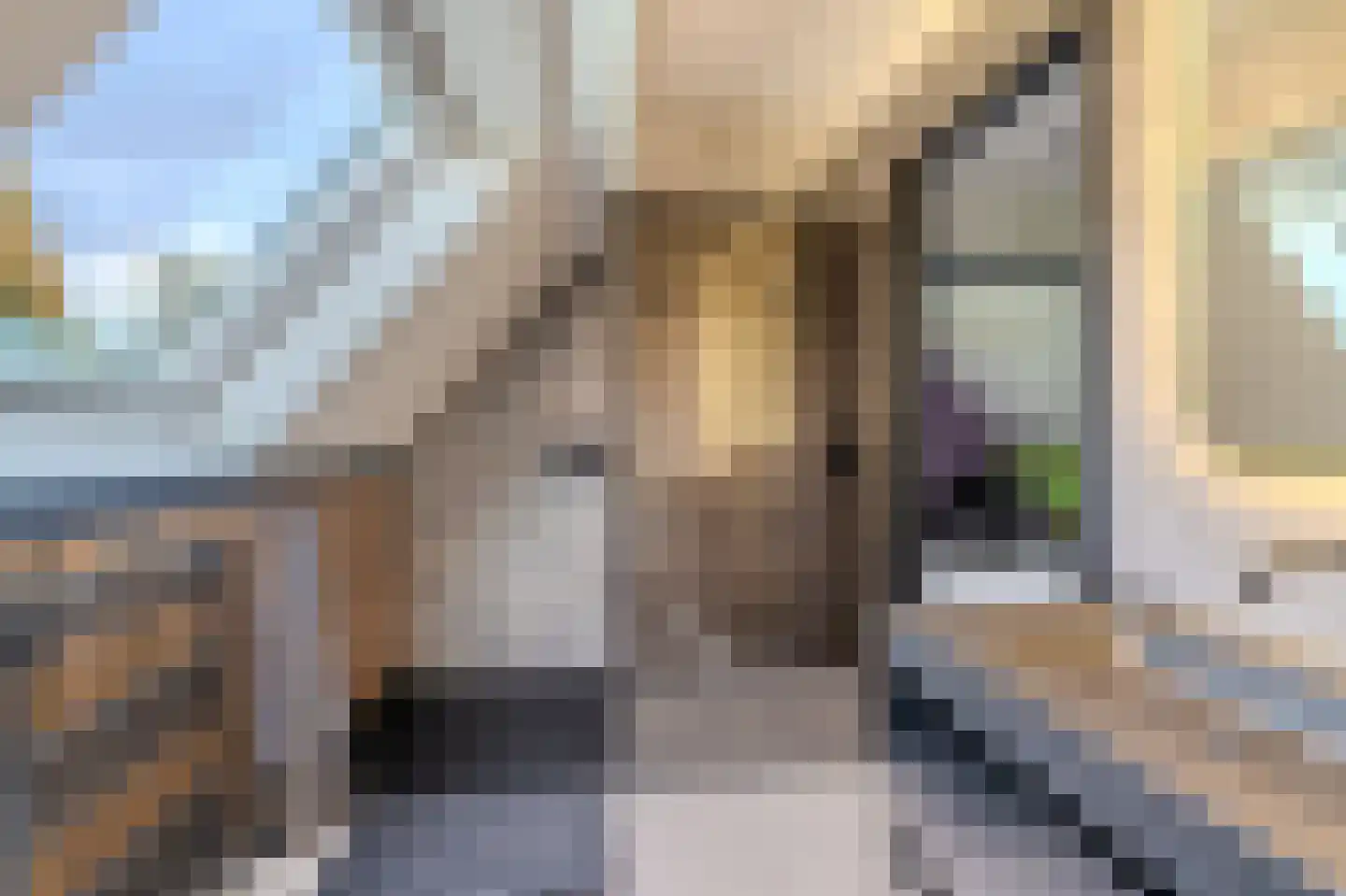 Tjabbesstreek 41 Blijham thumbnail 44